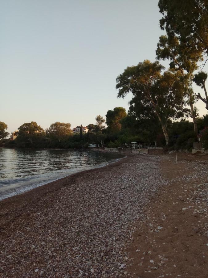 Appartement Petalidi Fragkos Extérieur photo